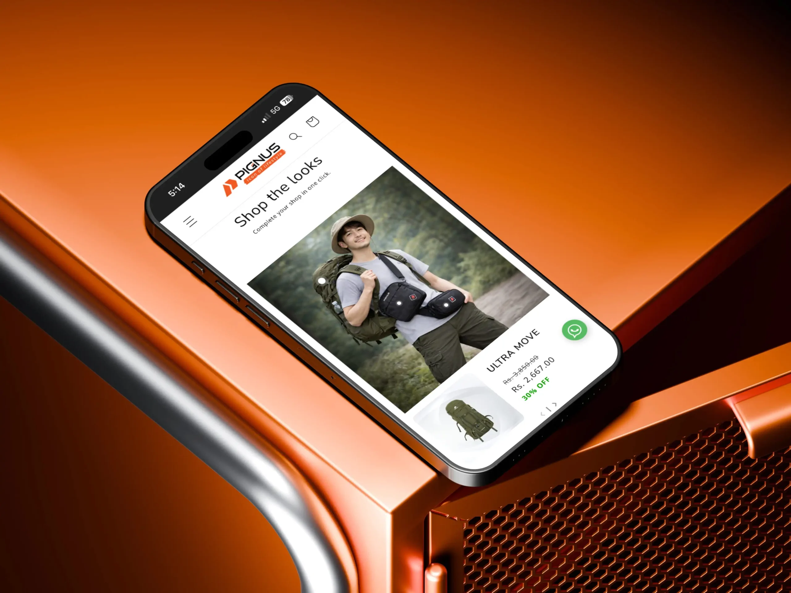 pignuslife-web-developer-in-kerala-india